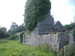 bellanamullia - 1155.JPG